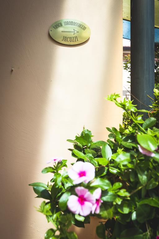 Hotel Sonia Forte dei Marmi Exterior photo